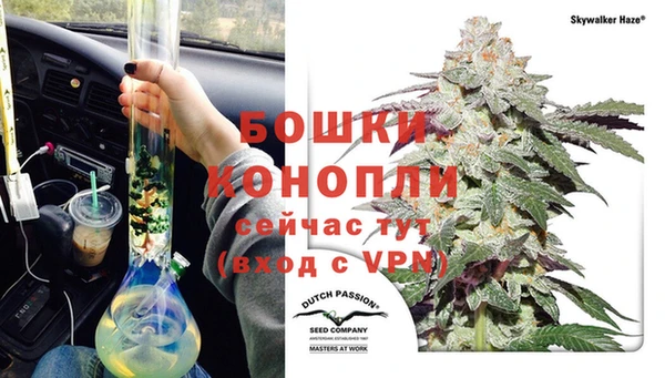 ПСИЛОЦИБИНОВЫЕ ГРИБЫ Богородицк