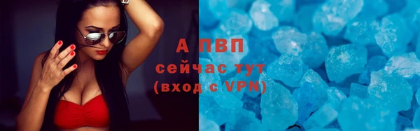 тгк Богородск